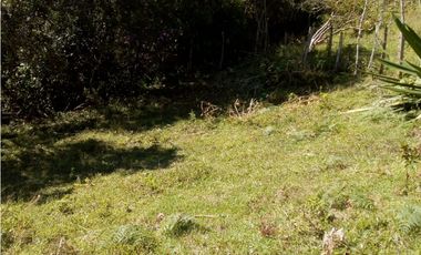 (I) LOTE PARA LA VENTA EN MARINILLA ANTIOQUIA