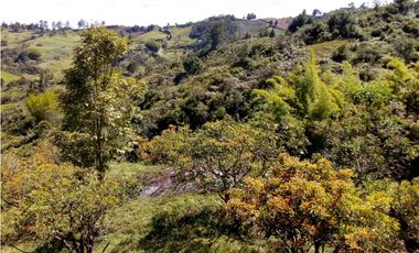 (I) LOTE PARA LA VENTA EN MARINILLA ANTIOQUIA