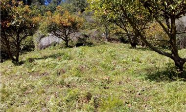 (I) LOTE PARA LA VENTA EN MARINILLA ANTIOQUIA