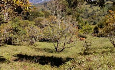 (I) LOTE PARA LA VENTA EN MARINILLA ANTIOQUIA