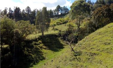 (I) LOTE PARA LA VENTA EN MARINILLA ANTIOQUIA
