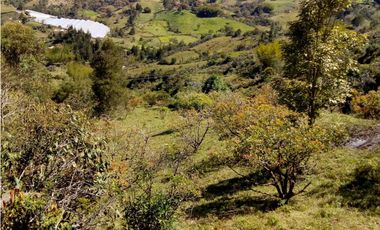 (I) LOTE PARA LA VENTA EN MARINILLA ANTIOQUIA