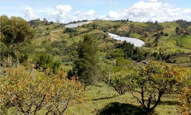 (I) LOTE PARA LA VENTA EN MARINILLA ANTIOQUIA
