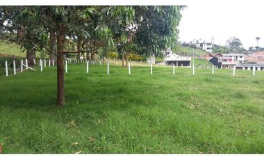 Venta Lote Salento Quindío - Colombia COD: 564264