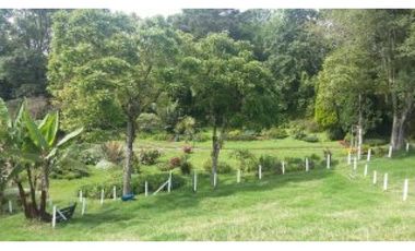 Venta Lote Salento Quindío - Colombia COD: 564264