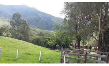 Venta Lote Salento Quindío - Colombia COD: 564264