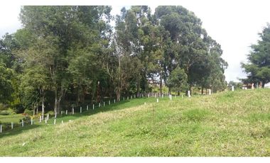 Venta Lote Salento Quindío - Colombia COD: 564264