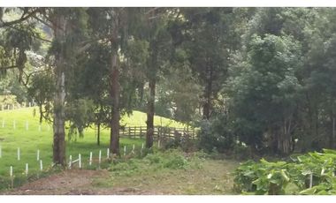 Venta Lote Salento Quindío - Colombia COD: 564264