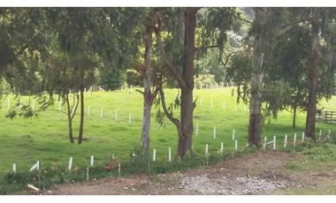 Venta Lote Salento Quindío - Colombia COD: 564264