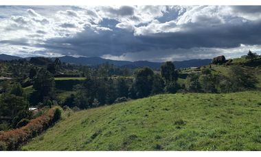 Venta Lote Exotica Vista Parcelacion El Retiro