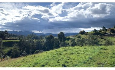 Venta Lote Exotica Vista Parcelacion El Retiro