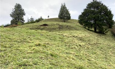 Venta Lote Exotica Vista Parcelacion El Retiro