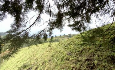 Venta Lote Exotica Vista Parcelacion El Retiro