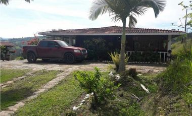 VENTA DE FINCA EN SANTANDER CHITARAQUE PRODUCTORA DE PANELA