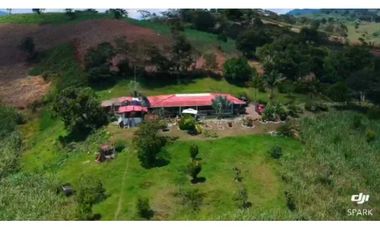VENTA DE FINCA EN SANTANDER CHITARAQUE PRODUCTORA DE PANELA