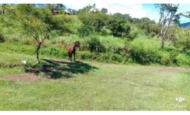 VENTA DE FINCA EN SANTANDER CHITARAQUE PRODUCTORA DE PANELA