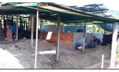 VENTA DE FINCA EN SANTANDER CHITARAQUE PRODUCTORA DE PANELA