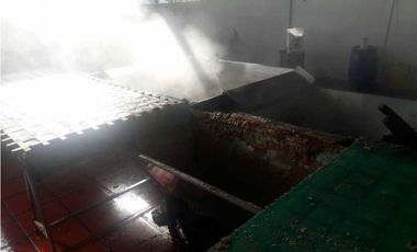 VENTA DE FINCA EN SANTANDER CHITARAQUE PRODUCTORA DE PANELA