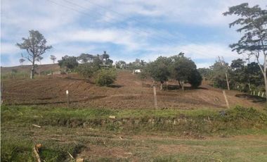 VENTA DE FINCA EN SANTANDER CHITARAQUE PRODUCTORA DE PANELA