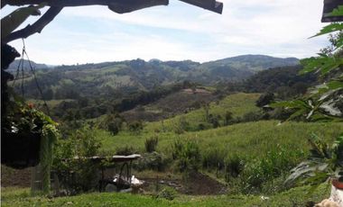 VENTA DE FINCA EN SANTANDER CHITARAQUE PRODUCTORA DE PANELA