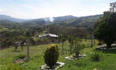 VENTA DE FINCA EN SANTANDER CHITARAQUE PRODUCTORA DE PANELA