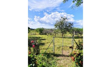 En venta  Finca en los santos de 15 hectareas