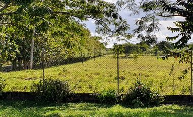 En venta  Finca en los santos de 15 hectareas