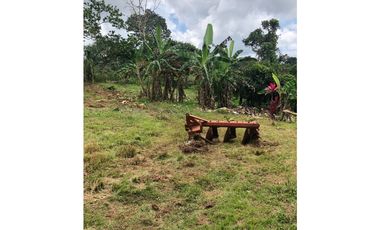Se vende lote en Nuevo Emperador