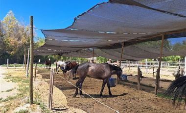 Agrícola en Venta en Condominio Valle Ecuestre