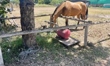 Agrícola en Venta en Condominio Valle Ecuestre