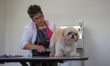 En Venta Hotel de Lujo con Excelente Ocupación en Cuernavaca, Mórelos