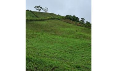 Venta de lote en Filandia