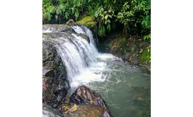 Venta de lote en Filandia