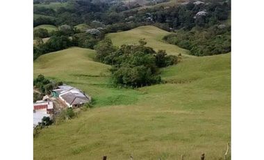 Venta de lote en Filandia