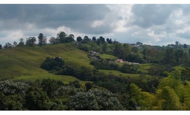 Venta de lote en Filandia