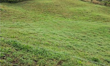 Venta de lote en Filandia