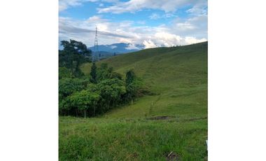 Venta de lote en Filandia