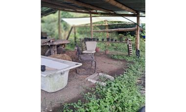 Venta de lote en Filandia