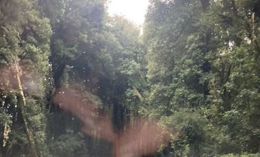 Parcela en Venta en Puerto Lapí, Rio Bueno