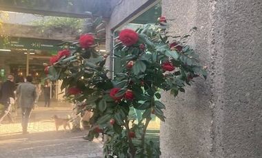 Sitio en Venta en Parque del Recuerdo Huechuraba