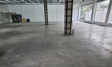 Local comercial en Renta en  División del Norte