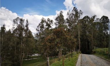 Venta de Lote Independiente en El Retiro