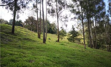 Venta de Lote Independiente en El Retiro