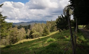 Venta de Lote Independiente en El Retiro