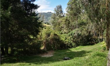 Venta de Lote Independiente en El Retiro