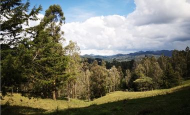 Venta de Lote Independiente en El Retiro