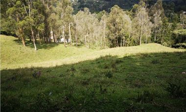 Venta de Lote Independiente en El Retiro