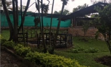 SILVANIA - FINCA DE PRODUCCION EN VENTA
