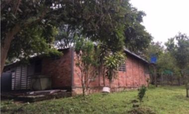 SILVANIA - FINCA DE PRODUCCION EN VENTA