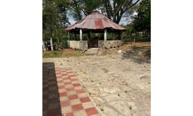 SILVANIA - FINCA DE PRODUCCION EN VENTA